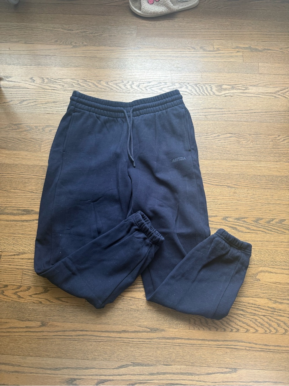 Aritzia Men's Navy Fleece Joggers